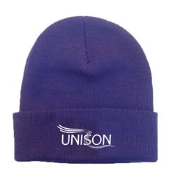 Picture of Beanie Hat in Purple