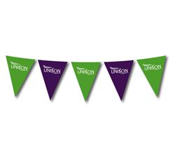 Picture of Paper Bunting