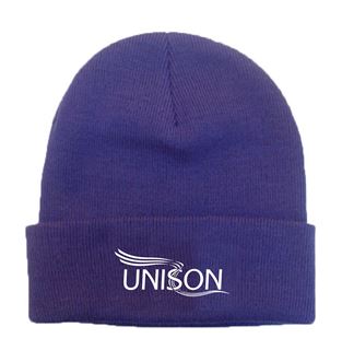 Picture of Beanie Hat in Purple