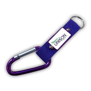 Picture of Carabiner Keyring